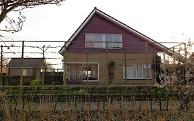 Kamerverhuur Advenco
